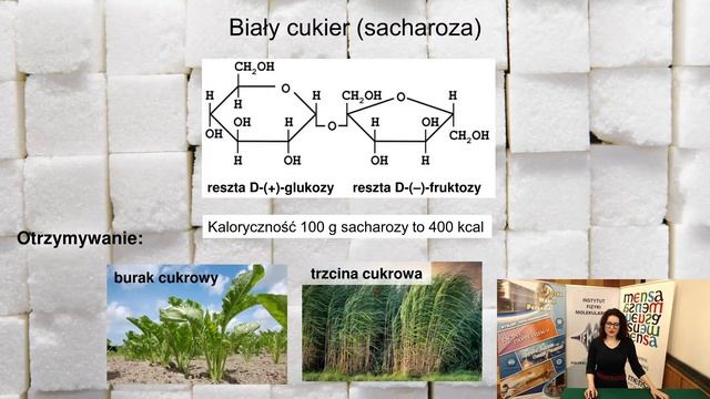 Fizyka Warta Poznania - wykład "Na tropie zdrowych słodkości" (dr Iwona Płowaś-Korus) смотреть онлайн