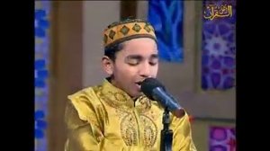 Yosh qorilar