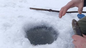 Тычки.Проверка.1.12.24г.