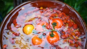 5944624-hd_1920_1080_25fps