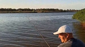 Тестируем новый уловистый технопланктон