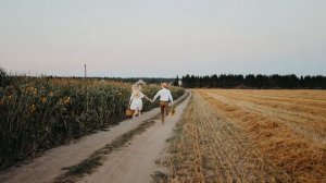 5617541-hd_1920_1080_30fps