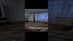 Видеообзор квартиры, п. Грибково, д. 6