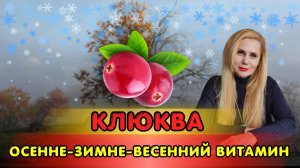 КЛЮКВА: Осенне-зимне-весенний Витамин