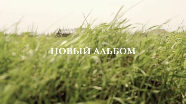 Видеоэффекты