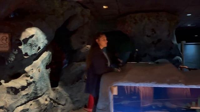 [4K]🇺🇸Evening Walk At Epcot - Journey Of Water & Moana,  Seas With Nemo & Friends , Spaceship Earth