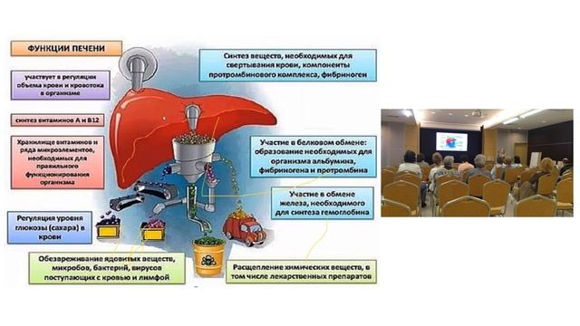 Как весной запустить организм на обновление и омоложение. Детокс печени.