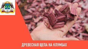 Клумбы в ЮЗАО засыпали древесной щепой