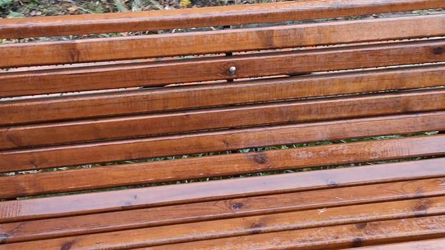 Сосна 2 года спустя смотреть онлайн