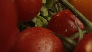 9020648-uhd_3840_2160_25fps