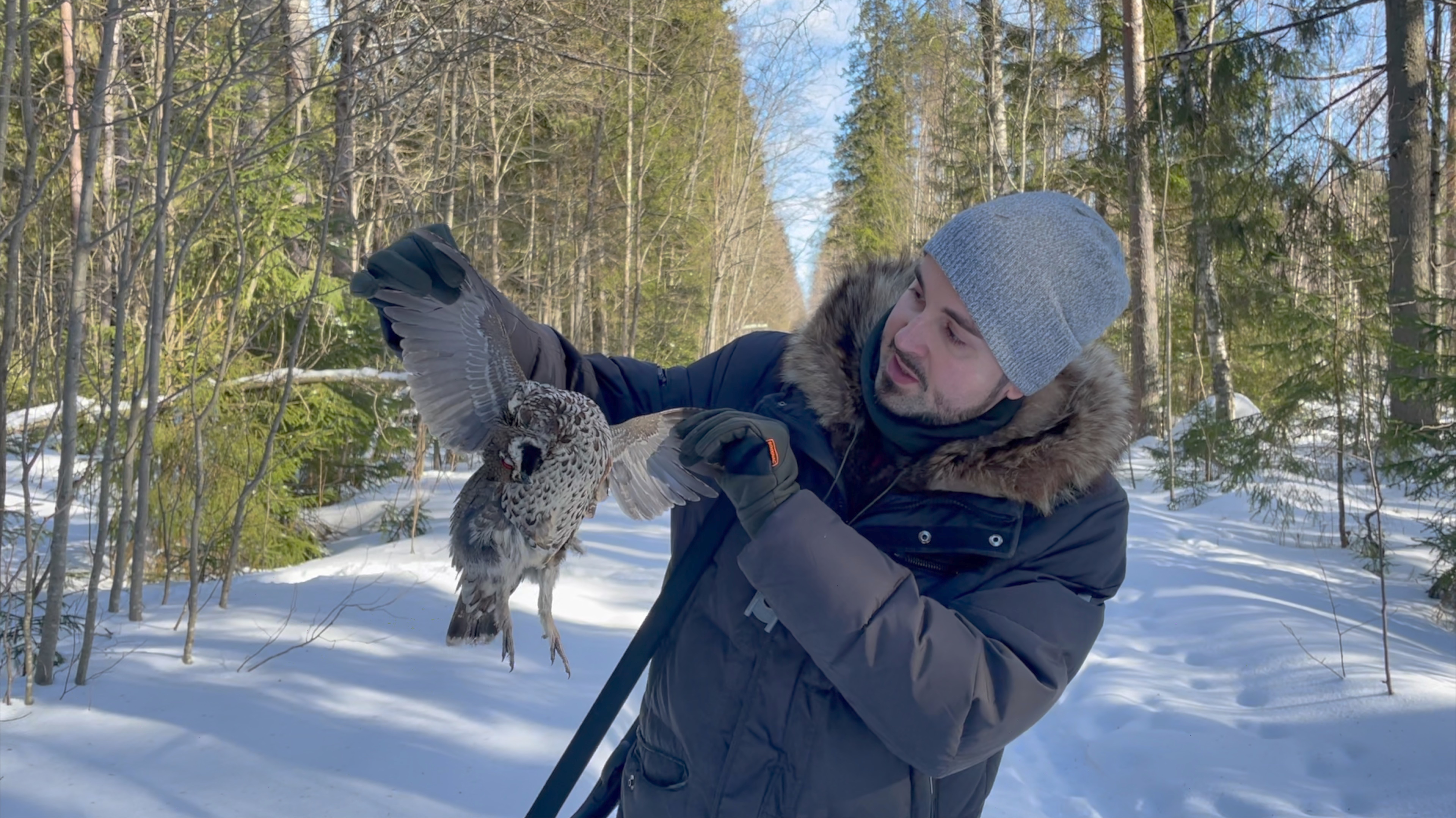 Продолжаем искать рябчика или прогулки в Ленинградской области/grouse hunting/russian hunting-3серия