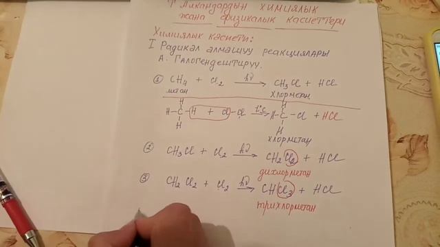 Әйелінің мысығынан сусындар