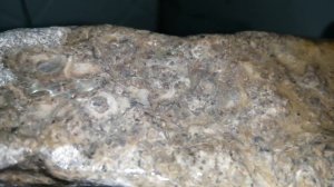 Эксперемент камни (уксусная кислота 70%)