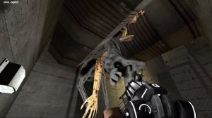 NEW ZOONOMALY ALL MONSTER FAMILY TORTURE!! (Garry's Mod)