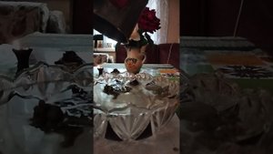 Отливка на воск болезни!!!💯😇😇😇