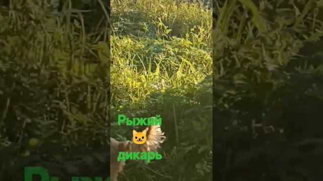 20 июля 2023 г. смотреть онлайн