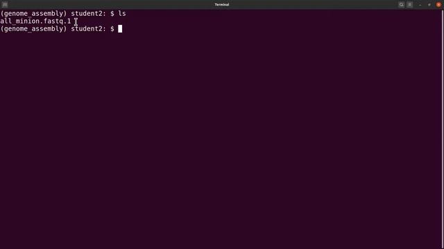 Nanopore sequencing data analysis | Genome assembly of nanopore reads using flye short clip смотреть онлайн