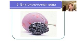 Елена Бахтина. Трансформация Тела и Лица