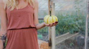 5243380-hd_1920_1080_25fps