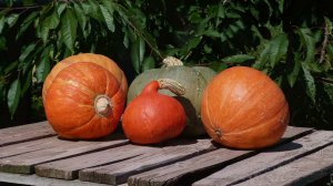 Panasonic Lumix FZ45. Foto test