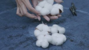 6841971-uhd_3840_2160_25fps