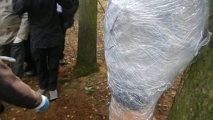 Нож CRKT Hissatsu 2  тест на поражающую способность.the test of a knife.Проект Чистота. Свинипух.