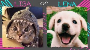 Lisa or Lena Animals, Lisa Lena Cute Animals