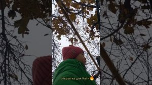 1 ДЕКАБРЯ 🌺