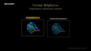 SHARP AQUOS XLED Brightness Demo Video 4K HDR