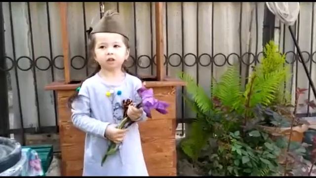 ДОО 51 смотреть онлайн