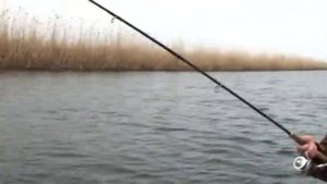 Кара Бумер