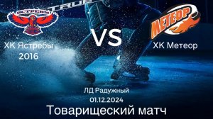 Товарищеская игра по хоккею среди детских команд: ХК Ястребы 2016 VS ХК Метеор