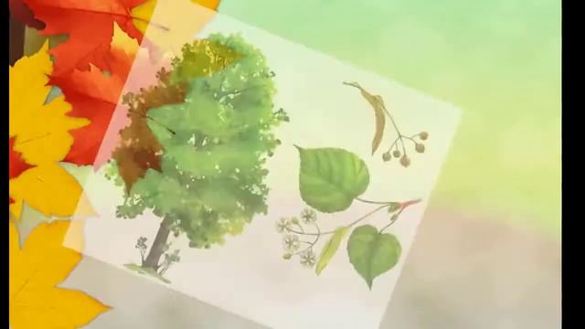 Я досліджую світ 2 клас Чому відбуваються зміни в природі? смотреть онлайн