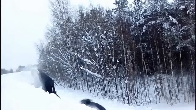 Сальто. Зима. -30. смотреть онлайн