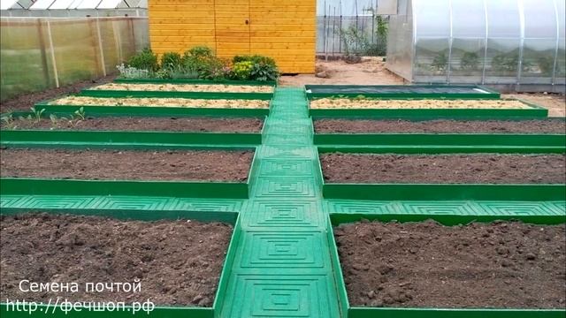 Что сделать, чтобы трава не росла на садовых дорожках?
