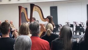 Habanera Gris- A. R. Ortiz - Harp duo