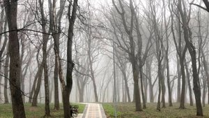 Октябрь. Времена года