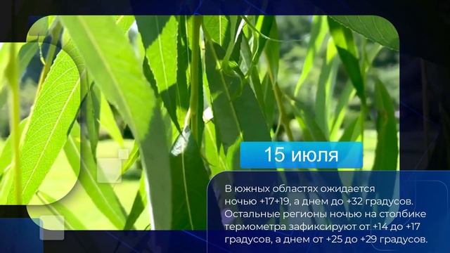 Когда закончатся дожди в Украине: синоптики назвали точную дату