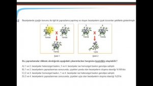 8. SINIF - FEN BİLİMLERİ - DNA VE GENETİK KOD İLGİLİ ÇIKMIŞ SORULAR VE ÖRNEK SORULAR 2