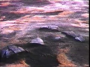 Археология Аркаима