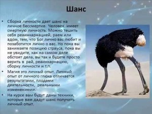 Сборка личности
