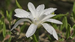 Владимир Вахитов - Волшебное слово