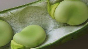 7663499-hd_1920_1080_25fps