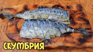 Теперь я знаю как вкусно приготовить рыбу скумбрию, получается очень сочно и ароматно