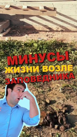 МИНУСЫ ЖИЗНИ ВОЗЛЕ ЗАПОВЕДНИКА