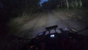 Паша прохваша фильм 1