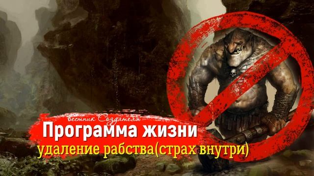 Программа жизни удаление рабства страх внутри