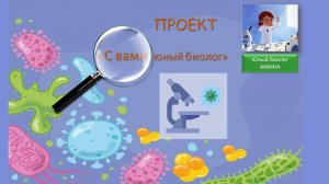 Лабораторные оборудования в кабинете биологии