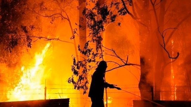 Areal Kollen - The Birds смотреть онлайн