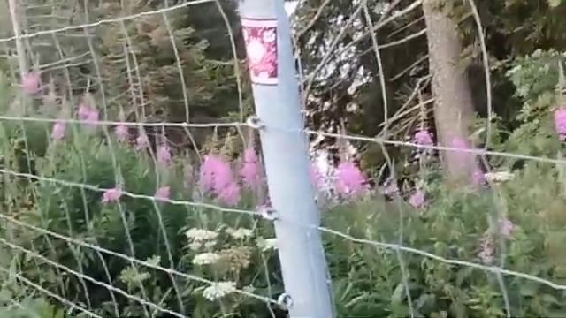 Последние приготовления/Дорога  Швейцария -Италия к морю/У Лигурийского моря
